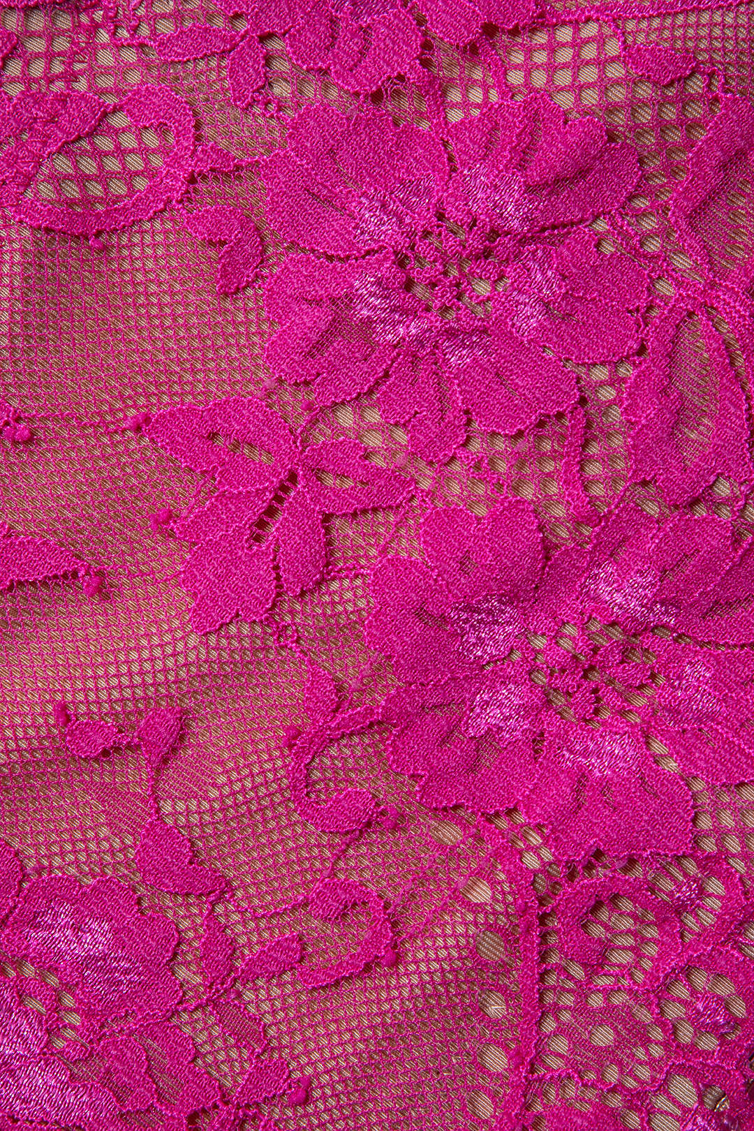 Top Bustier De Encaje Con Cierres De Gancho Y Ojal Lujoso
