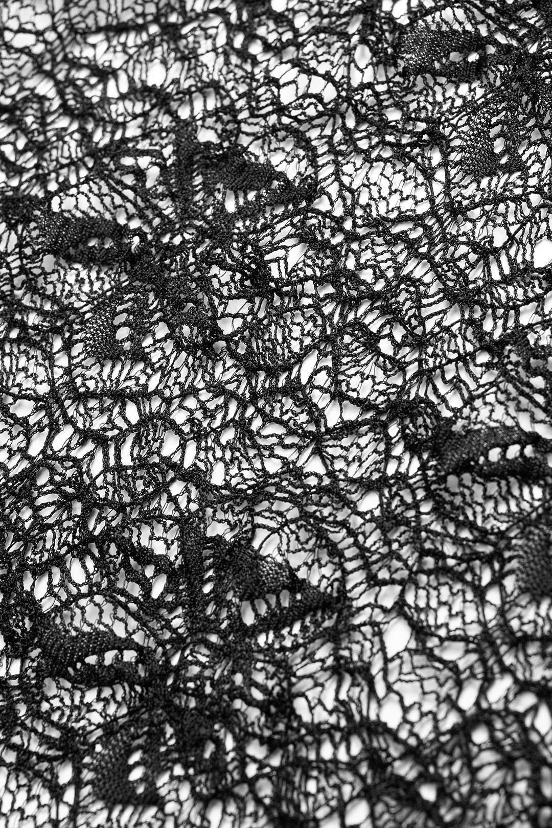 Sheer Lace Long Sleeve Maxi Dress