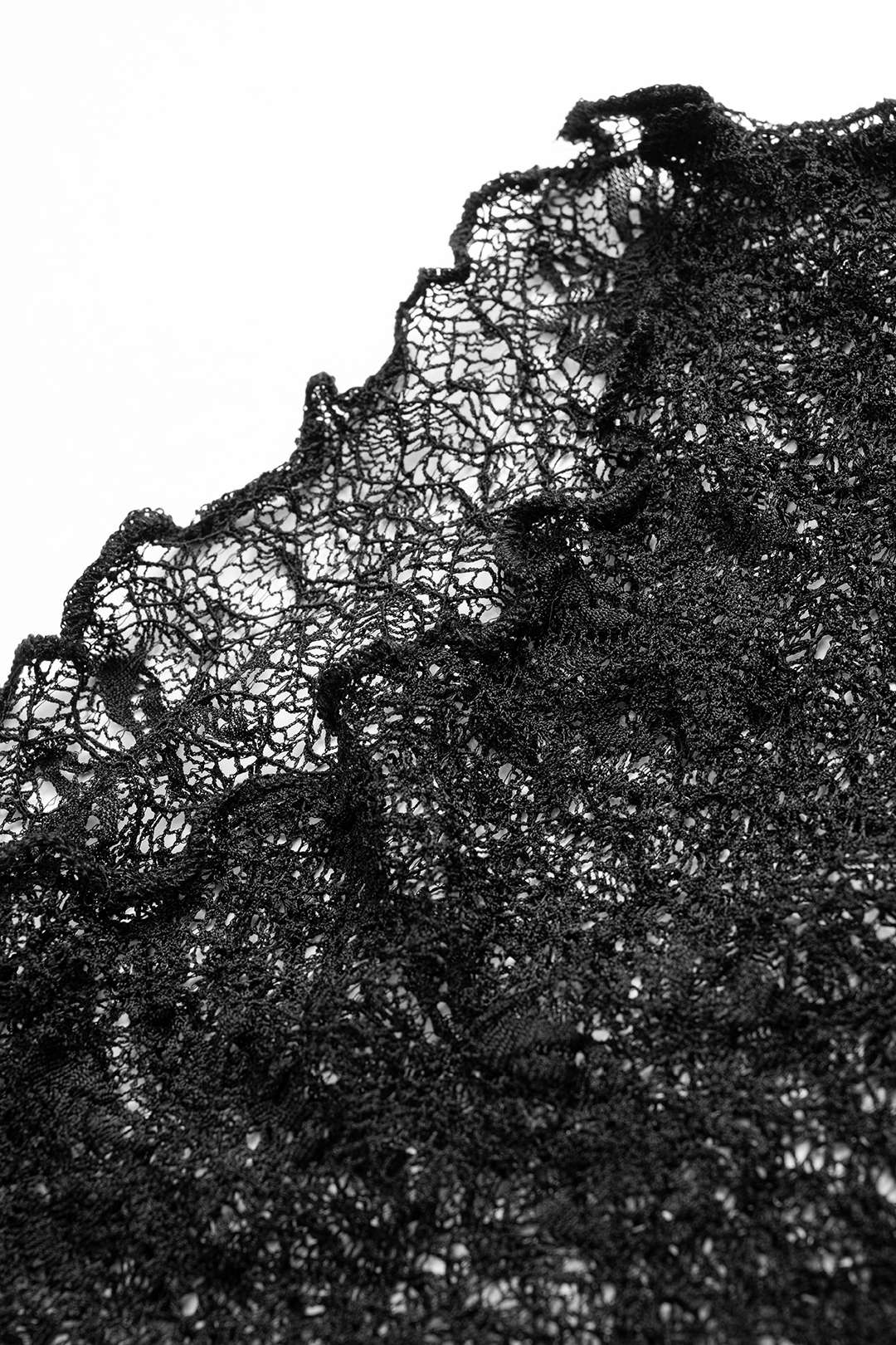 Sheer Lace Long Sleeve Maxi Dress